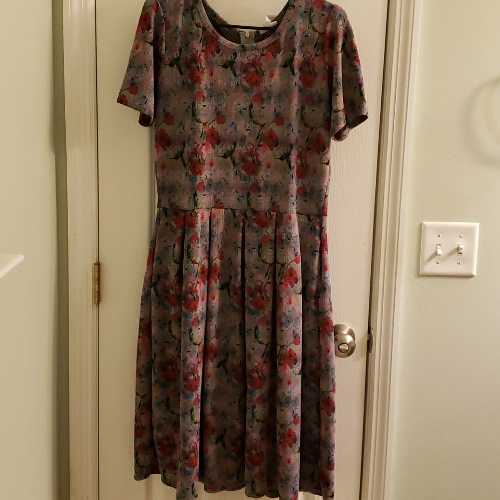 Lularoe Amelia hummingbird dress